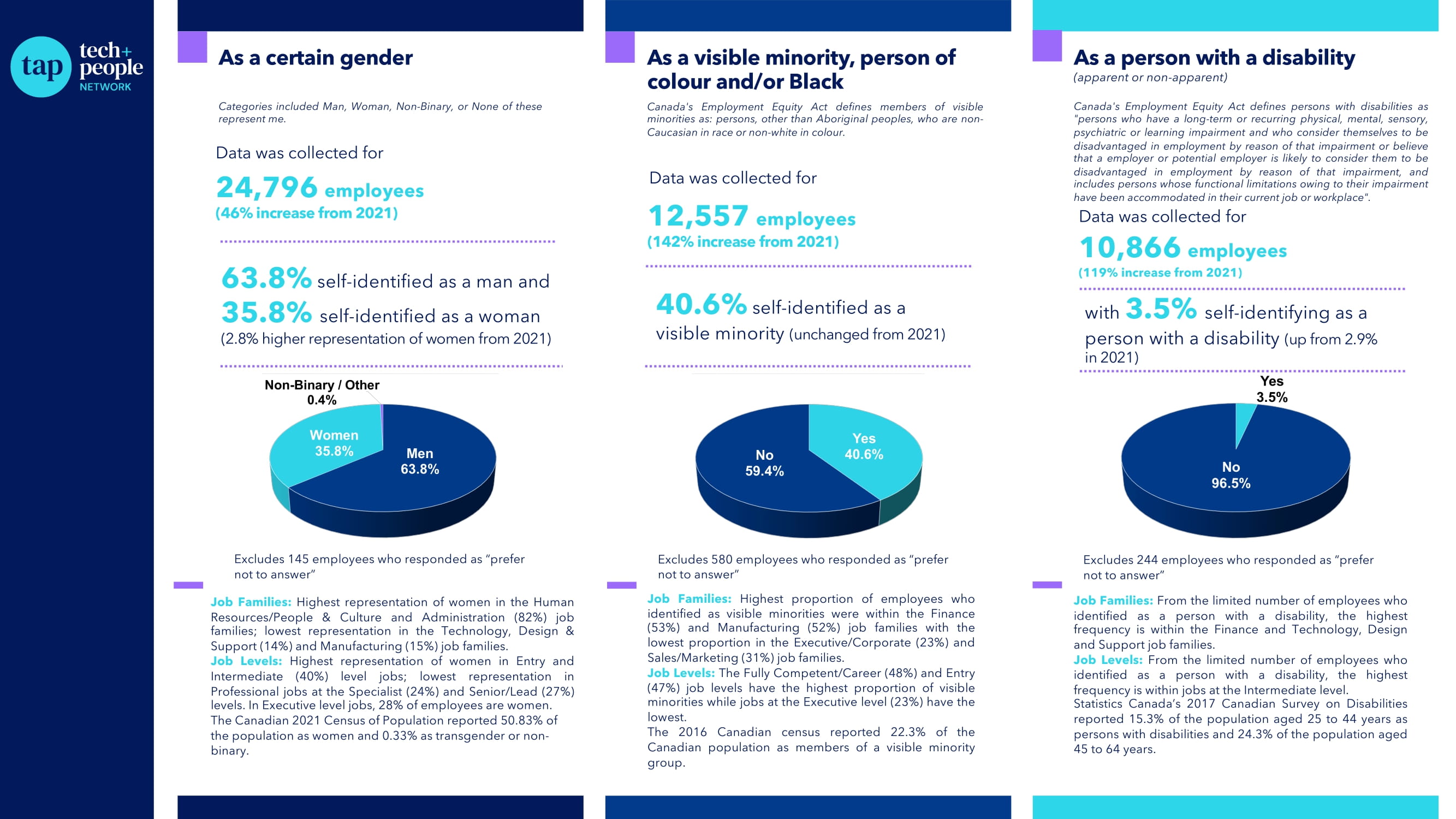 Page 2 of the 2022  Diversity in Tech Dashboard