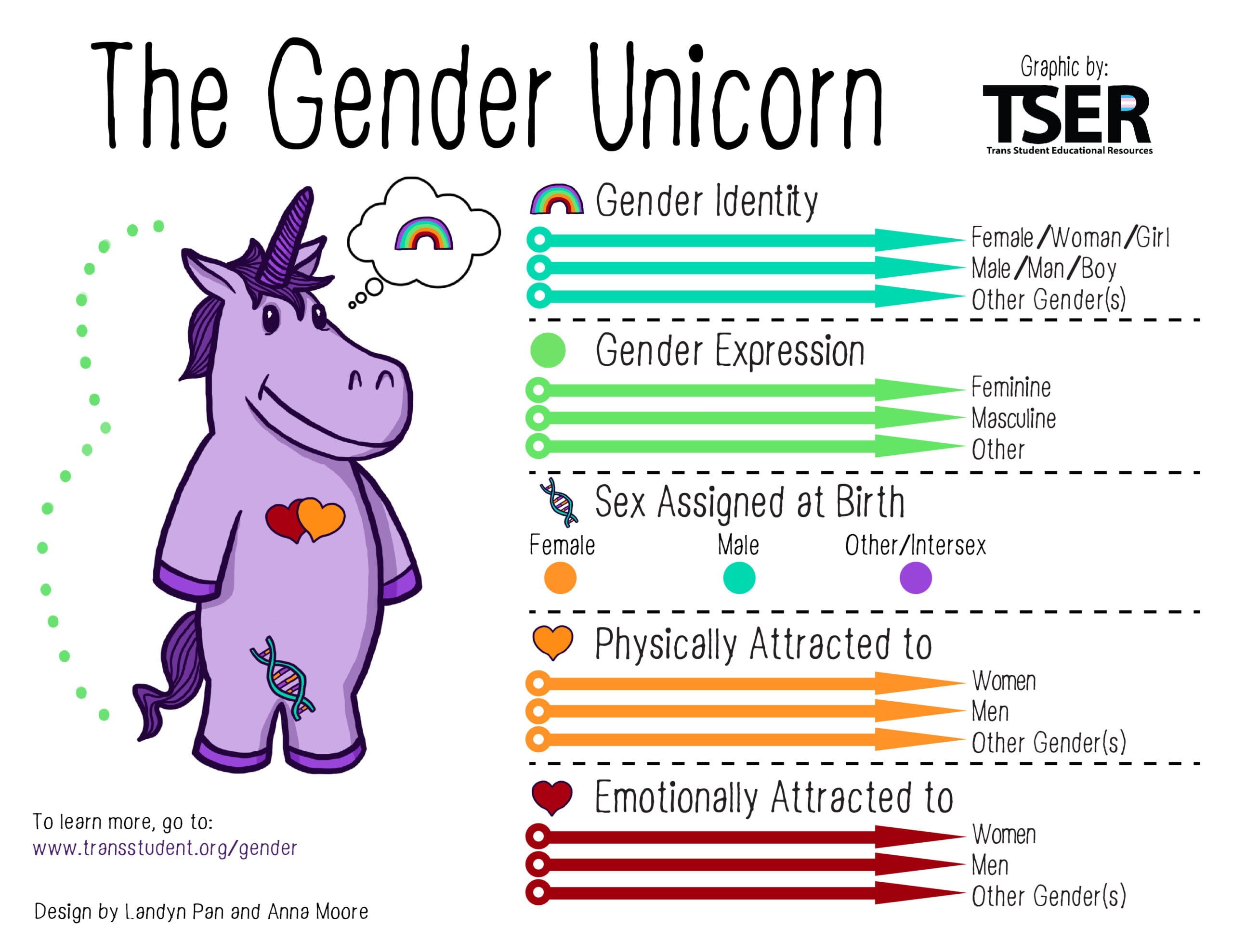 Reduced view of the gender unicorn graphic from TSER
